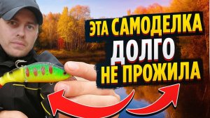 На рыбалку с самодельной приманкой. Ловля щуки на спиннинг осенью на малой реке