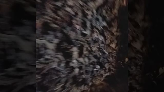 20251018_192801.mp4 смотреть онлайн