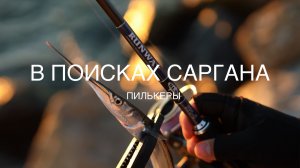 За сарганом по диким пляжам. Осенняя рыбалка в Сочи. Xesta Runway SLS S91-S