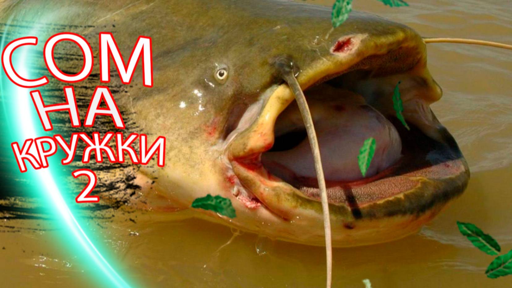 СОМ НА ПОСТАВУШКИ - 2 часть.