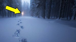 ЖУТКИЕ ТАЙНЫ ТАЙГИ. 3 ИСТОРИИ, ПОСЛЕ КОТОРЫХ ВЫ ПОБОИТЕСЬ ЛЕСА. Таёжные истории