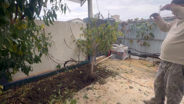 Убираем деревья на своем участке смотреть онлайн