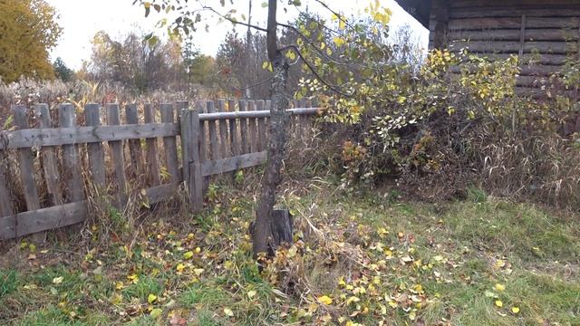 Закрытие сезона, садим яблони в деревне. смотреть онлайн