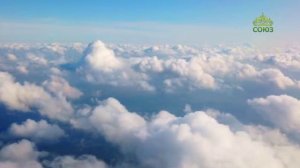 Стихи над миром. Стихотворения Романа Перельштейна