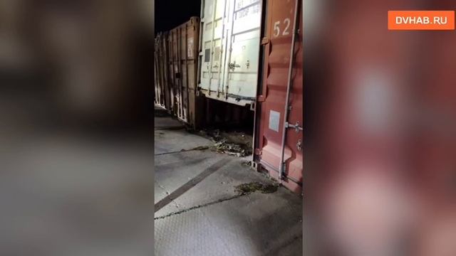 Застрявшую на неделю под контейнерами собаку спасли хабаровчане смотреть онлайн