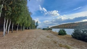 Участок в лесу рядом с рекой Северский Донец ( Белгородское водохранилище).