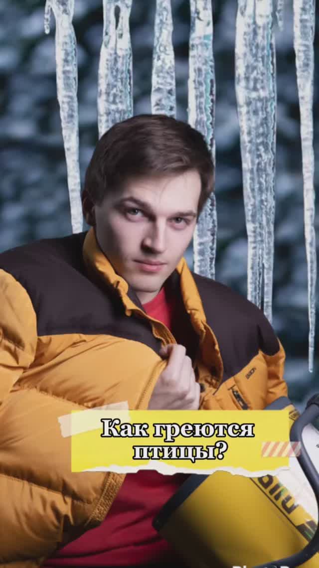 Как греются птицы🤔🐥 смотреть онлайн