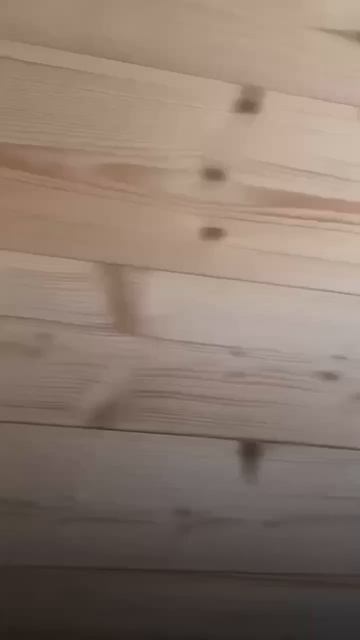 115364 смотреть онлайн