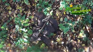 КОРОТКИЙ КОП МЕТАЛЛОЛОМА В НЕИЗВЕДАННЫХ УГОЛКАХ ДЕРЕВНИ!