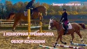 ✨1 КОНКУРНАЯ ТРЕНИРОВКА | ОБЗОР КОНЮШНИ | ЗАЕЗДКА ПРОДОЛЖАЕТСЯ✨