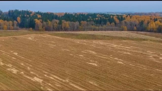 Ваталинка-Матушка-земля.mp4 смотреть онлайн