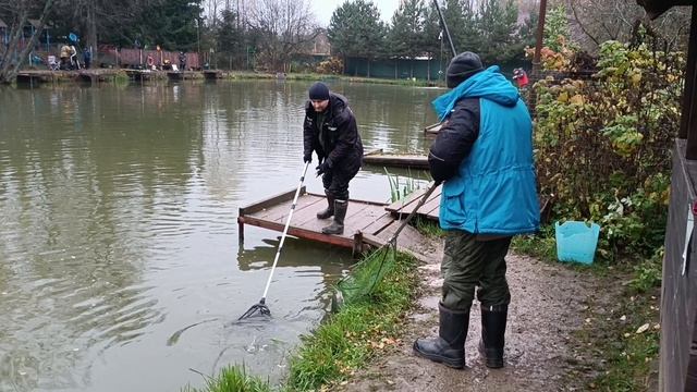 И такое бывает. РК Фишка Липки
