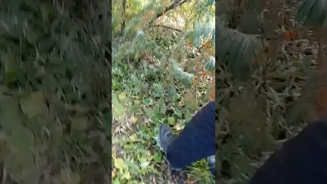 4 сезон 2 серия улица №2 смотреть онлайн