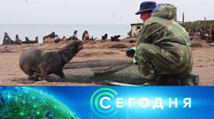 «Сегодня»: 20 октября 2025 года. 16:00 | Выпуск новостей | Новости НТВ