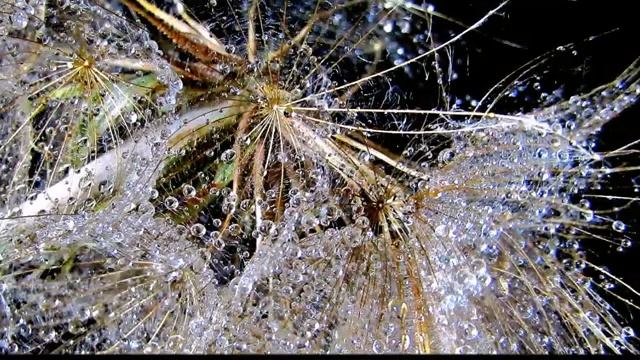 Негасимый свет [get-save.com] смотреть онлайн