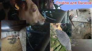Как сделать стойла для Бычков