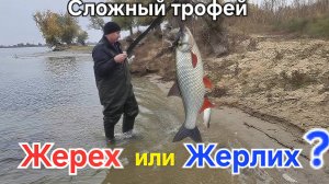 🔥Полчаса "таскали" ЖЕРЕХА на Волге ⚡️ пасмурная  Астраханщина!!! Рыбалка в Октябре - 2025 !!!