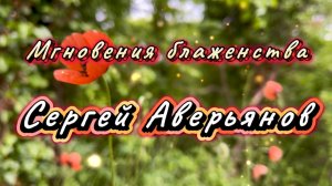 Мгновения блаженства, Сергей Аверьянов, красивая инструментальная музыка