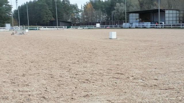 VID_20251020_132855.mp4