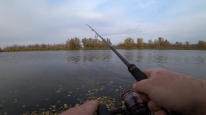 Отводной или Дроп-шот? Рыбалка на спиннинг осенью 2025