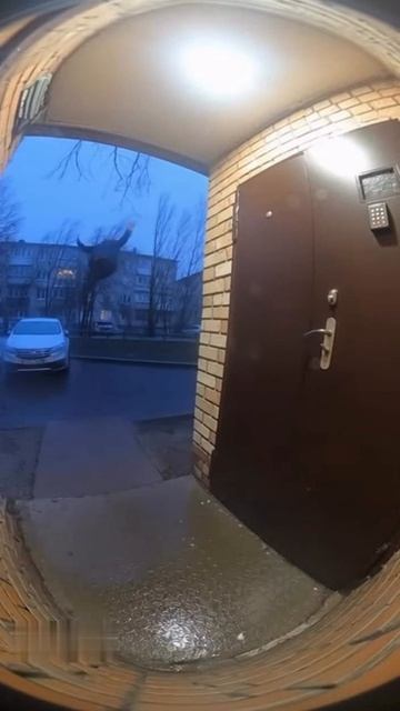 Сдуло смотреть онлайн