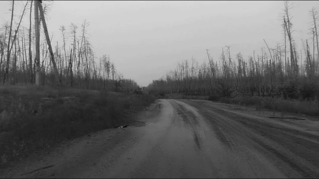 Минувшие дни - Каспер,Серебрянское лесничество.