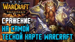 Сражение на самой тесной карте Warcraft: Moon (Ne) vs Sok (Hum) Warcraft 3 Reforged