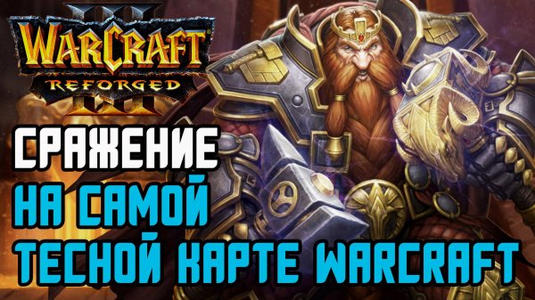 Сражение на самой тесной карте Warcraft: Moon (Ne) vs Sok (Hum) Warcraft 3 Reforged