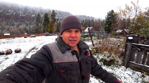 Про первый снег и другую осеннюю суматоху