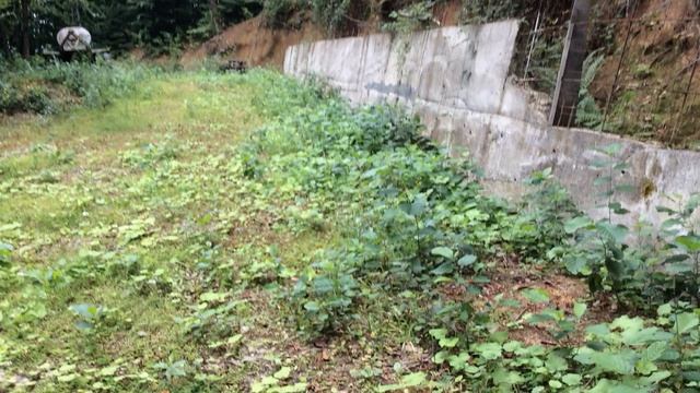 Участок 20 сот. (ИЖС) смотреть онлайн