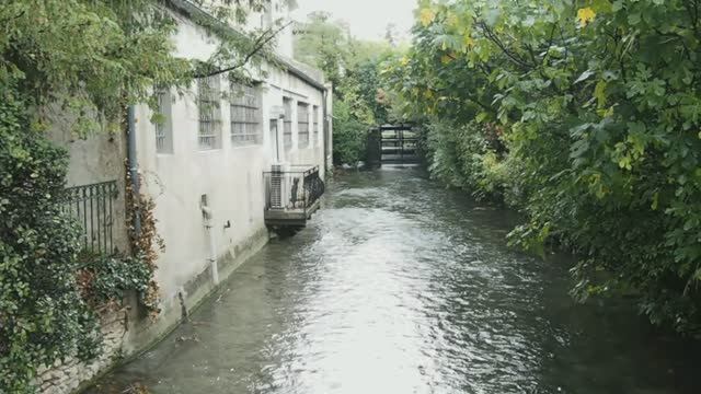 Кормление уток в городе Л’Иль-сюр-ла-Сорг (Франция). смотреть онлайн