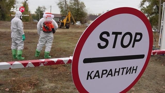 Профессионализм донских ветеринаров