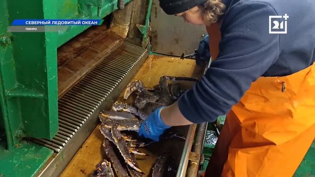 Интервью ВНИРО ТВ-21 Мурманск смотреть онлайн