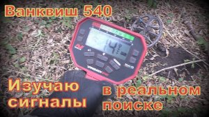Поиск Ванквиш 540 и Ака Сорекс про изучаю сигналы в процессе поиска