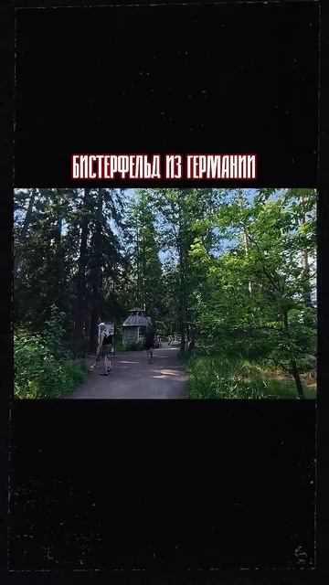 Садовники парка Монрепо #shorts смотреть онлайн