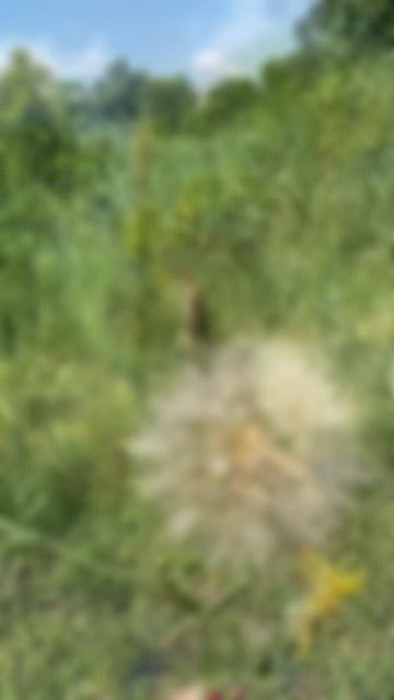 Бэкстейдж #съемки