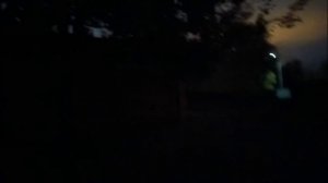 Шархан Зоопарк вечером. Темнеет быстро 20.10.2025 Видео от опекуна Светланы