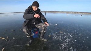 Первый лёд опасный но щедрый! Рыбалка в октябре.