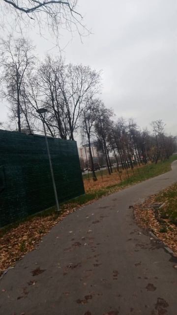 ехали медведи на велосипеде