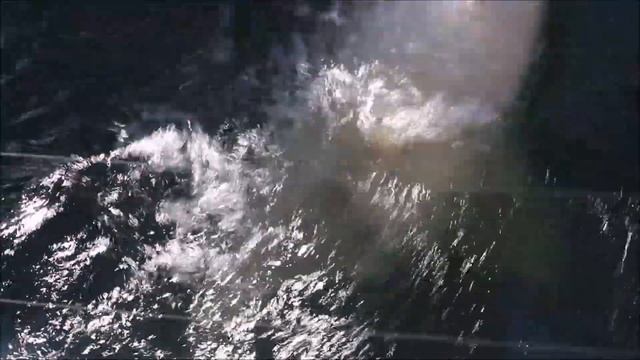 Медвежатам не нужны канистры и шары. Им больше нравятся лапы и шкуры животных 16.10.2025 смотреть онлайн