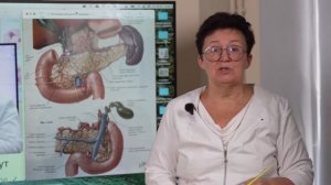 Усталость и вздутие. Почему от стресса страдает живот?