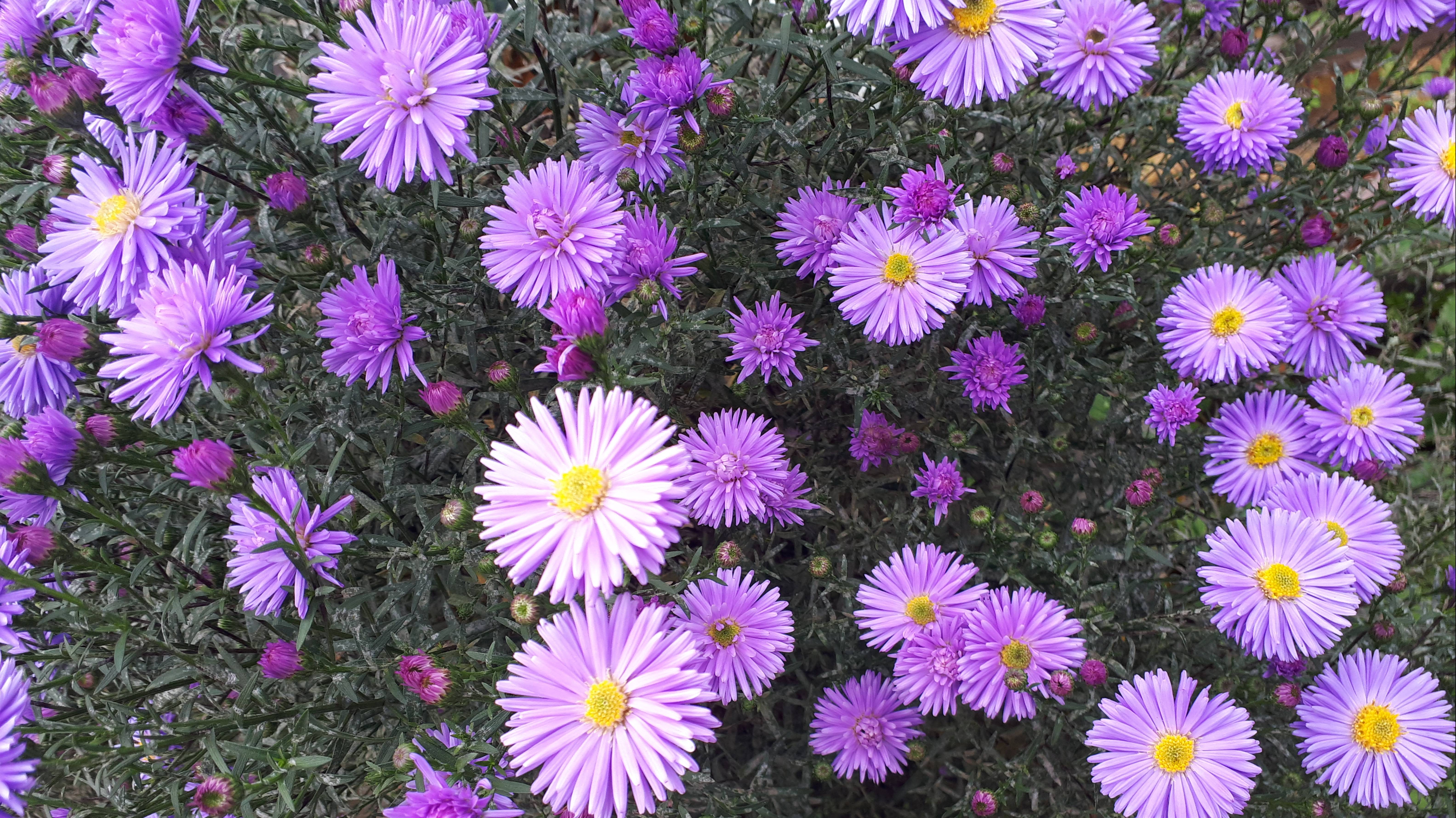 2103.    ВПЛ Осенняя прогулка  9 октября.