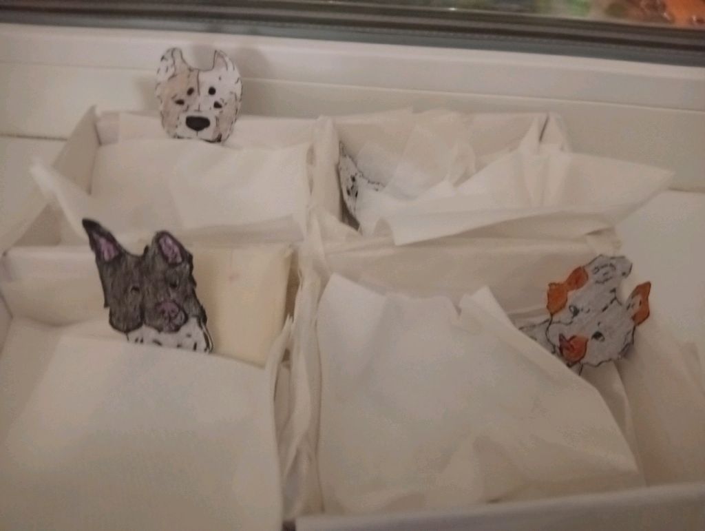 БУМАЖНЫЕ СОБАКИ? смотреть онлайн