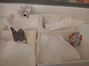 БУМАЖНЫЕ СОБАКИ?