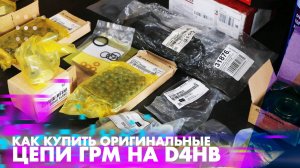 Цепь грм D4HB