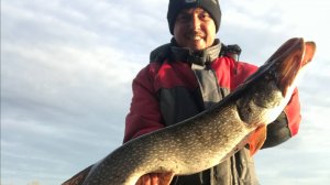 Здоровая щука! Трофей! Чуть спиннинг мне не сломала