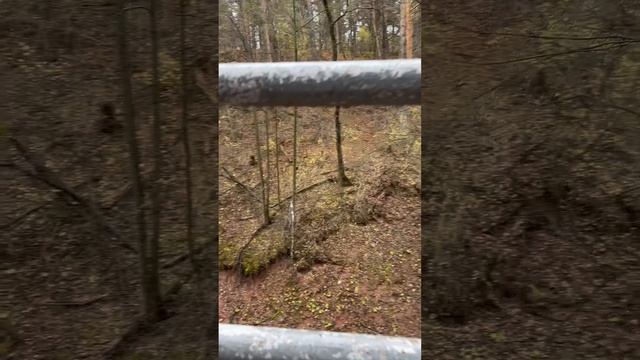 Прогулка, сходила до родника. смотреть онлайн