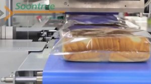 Фрагмент из видео по SOONTRUE для сайта