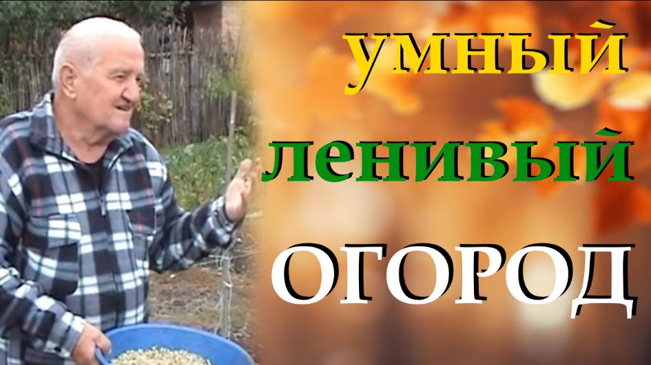 Ленивый огород. Видео про человека, который научил меня не копать на огороде и организовать его смотреть онлайн