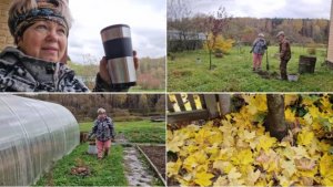 ПОСАДИЛИ ВИШНИ И КОСТОЧКИ ПЕРСИКА, ПОТЫКАЛА КАПУСТУ.